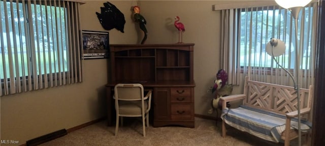 14172 Hametown Rd, Doylestown, OH 44230 - office featuring healthy amount of natural light and carpet