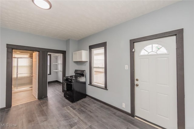 1431 Rowley Ave, Cleveland, OH 44109 - foyer entrance with plenty of natural light and dark wood-style flooring