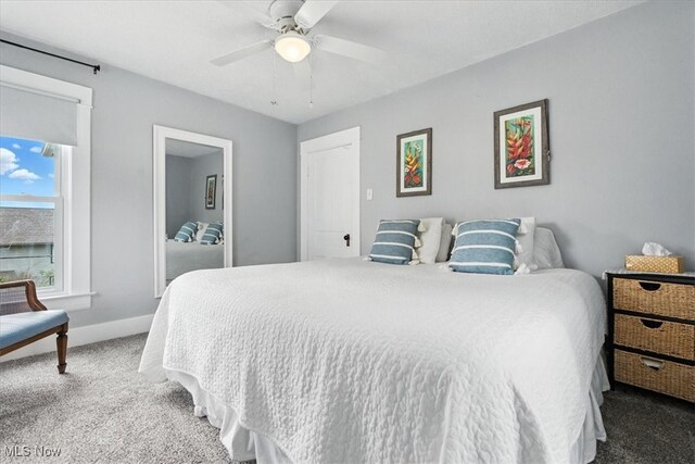 201 E Spring St, Marietta, OH 45750 - bedroom with carpet floors and a ceiling fan