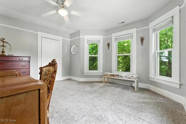 201 E Spring St, Marietta, OH 45750 - bedroom with carpet flooring and ceiling fan