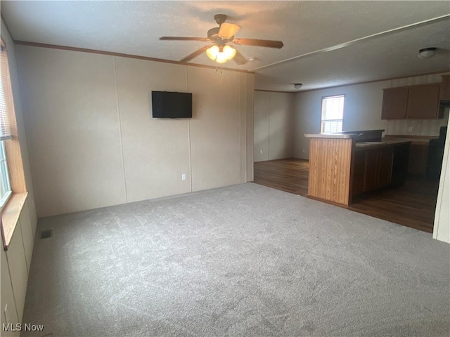 67330 Ebbert Rd Unit 9, Saint Clairsville, OH 43950 - unfurnished living room featuring a ceiling fan, crown molding, and carpet