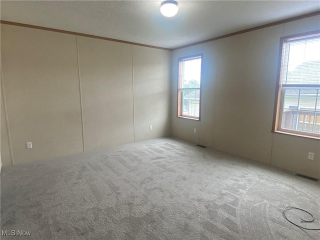 67330 Ebbert Rd Unit 9, Saint Clairsville, OH 43950 - carpeted spare room with ornamental molding, plenty of natural light, and a decorative wall