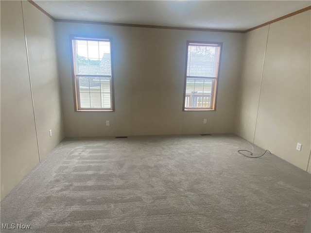 67330 Ebbert Rd Unit 9, Saint Clairsville, OH 43950 - unfurnished room with ornamental molding, carpet floors, and a decorative wall
