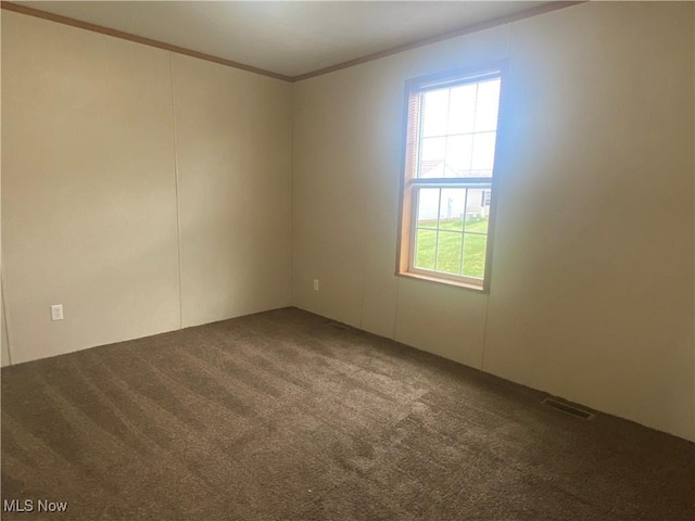 67330 Ebbert Rd Unit 9, Saint Clairsville, OH 43950 - spare room featuring ornamental molding, carpet floors, and healthy amount of natural light