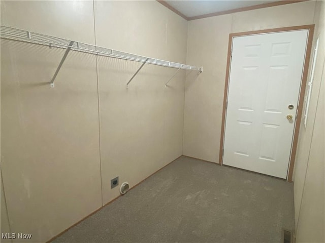 67330 Ebbert Rd Unit 9, Saint Clairsville, OH 43950 - washroom featuring electric dryer hookup, carpet, and ornamental molding