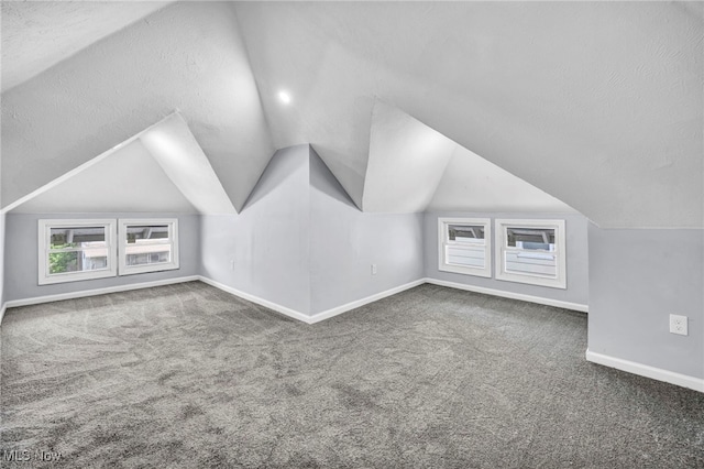 12616 Arlington Ave, Cleveland, OH 44108 - bonus room featuring vaulted ceiling and carpet flooring
