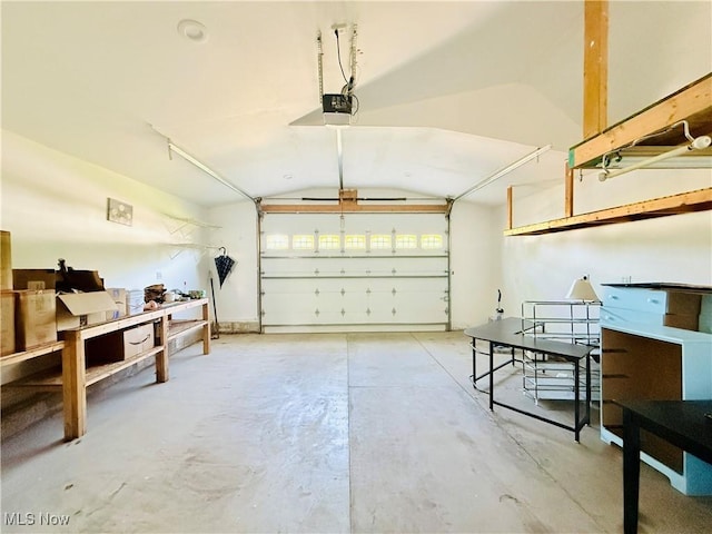 133 Walleye Ct, Lagrange, OH 44050 - garage with a garage door opener