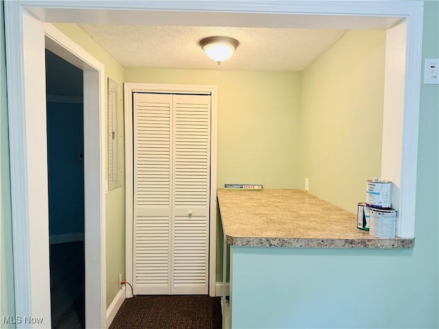 133 Walleye Ct, Lagrange, OH 44050 - kitchen featuring light countertops, dark carpet, and a textured ceiling