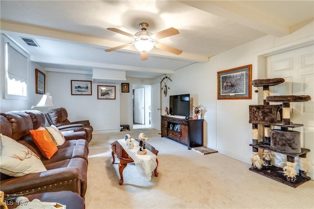 514 Michael Ln, Zoar, OH 44697 - photo 23