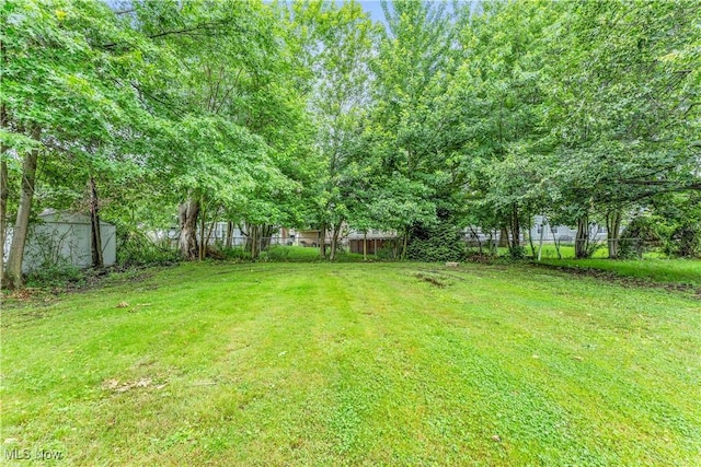 416 E 255th St, Euclid, OH 44132 - view of yard