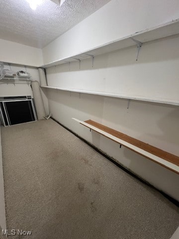 2132 University Commons Dr SE, Massillon, OH 44646 - view of storage area
