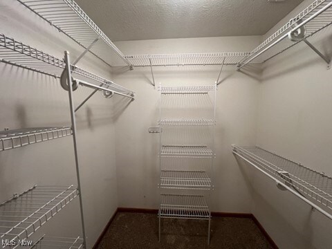 2132 University Commons Dr SE, Massillon, OH 44646 - spacious closet with carpet flooring
