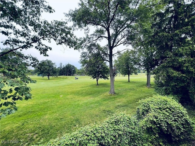 19101 Van Aken Blvd Unit 521, Shaker Heights, OH 44122 - photo 43