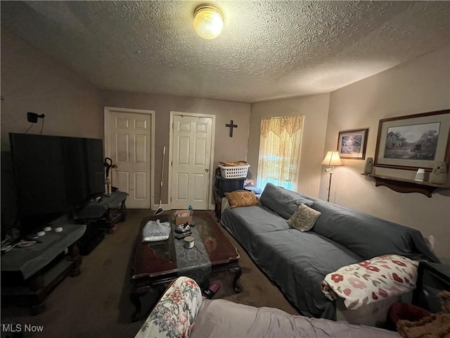 2455 W 7th St, Cleveland, OH 44113 - carpeted living area with a textured ceiling