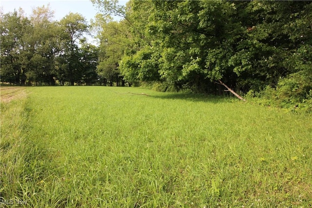 8630 Williams Rd, Chardon, OH 44024 - view of yard