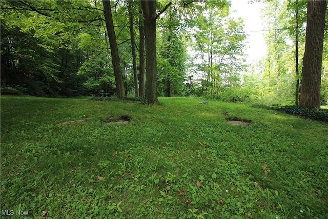 8630 Williams Rd, Chardon, OH 44024 - view of green lawn