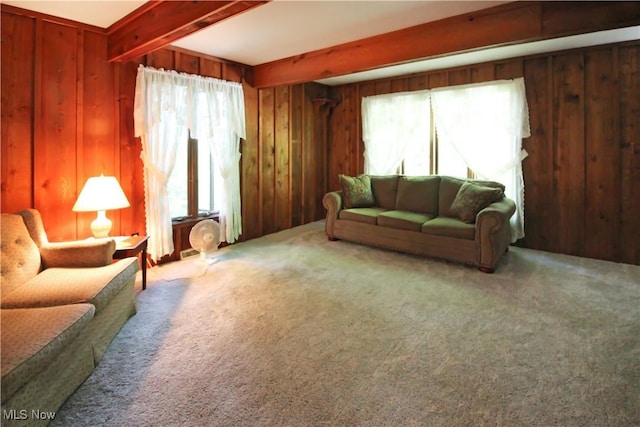 8630 Williams Rd, Chardon, OH 44024 - living area featuring beamed ceiling, wooden walls, and carpet