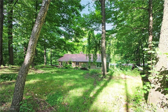8630 Williams Rd, Chardon, OH 44024 - view of yard