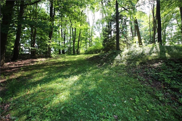 8630 Williams Rd, Chardon, OH 44024 - view of grassy yard with a wooded view