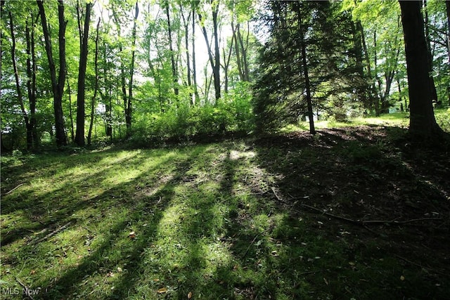 8630 Williams Rd, Chardon, OH 44024 - view of local wilderness