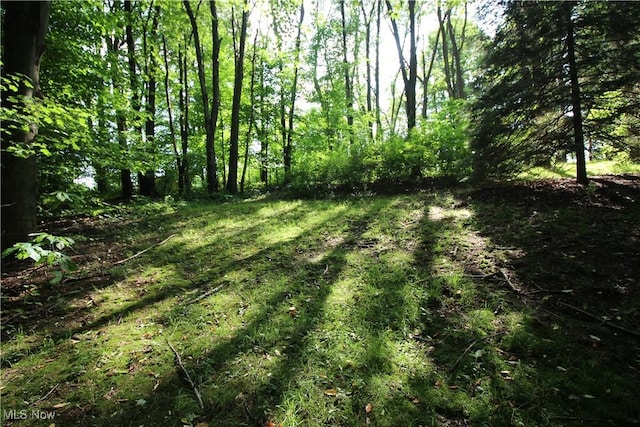 8630 Williams Rd, Chardon, OH 44024 - view of yard