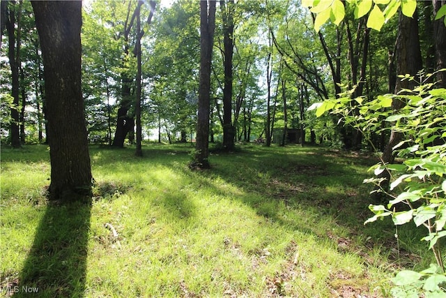 8630 Williams Rd, Chardon, OH 44024 - view of yard