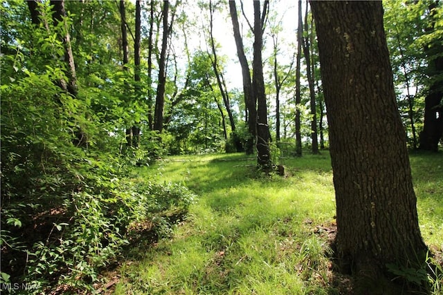 8630 Williams Rd, Chardon, OH 44024 - view of nature