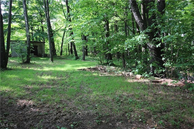 8630 Williams Rd, Chardon, OH 44024 - view of grassy yard featuring a wooded view