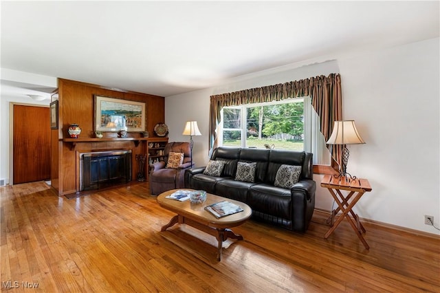 218 Bonnett St SW, North Canton, OH 44720 - living area featuring light wood-style flooring and a glass covered fireplace