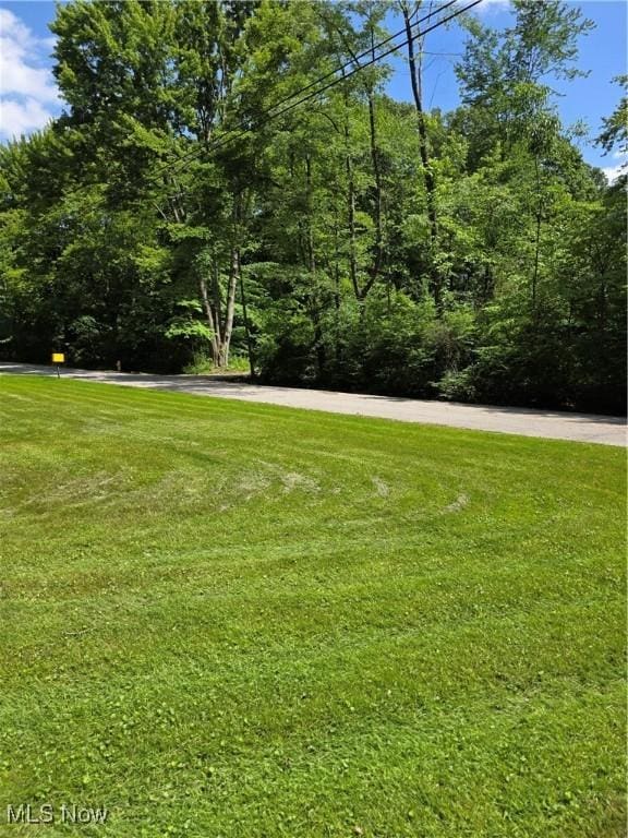 2133 Silver Fox Ln NE, Warren, OH 44484 - photo 21