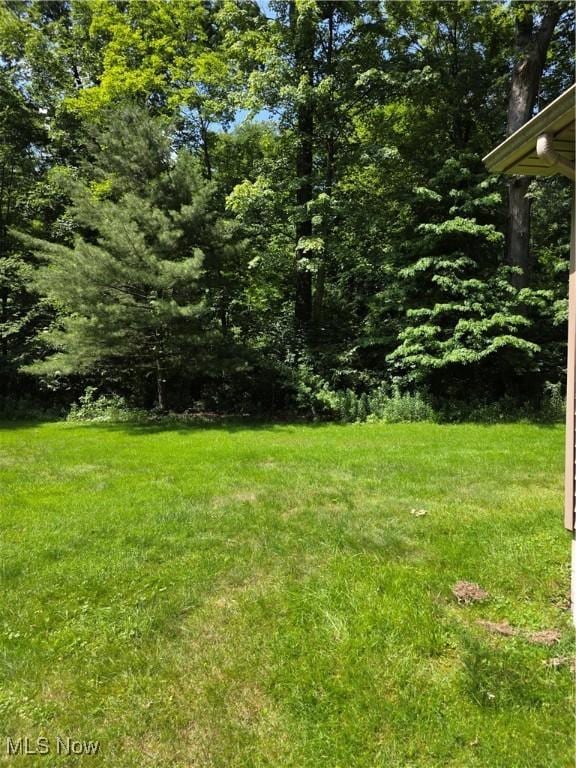 2133 Silver Fox Ln NE, Warren, OH 44484 - photo 22