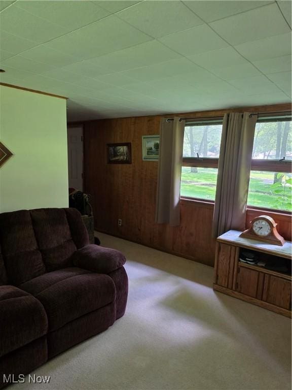 2133 Silver Fox Ln NE, Warren, OH 44484 - photo 6