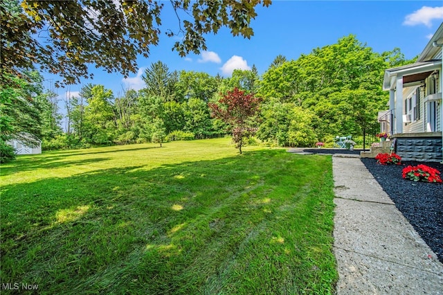 416 N Hambden St, Chardon, OH 44024 - view of green lawn featuring view of scattered trees