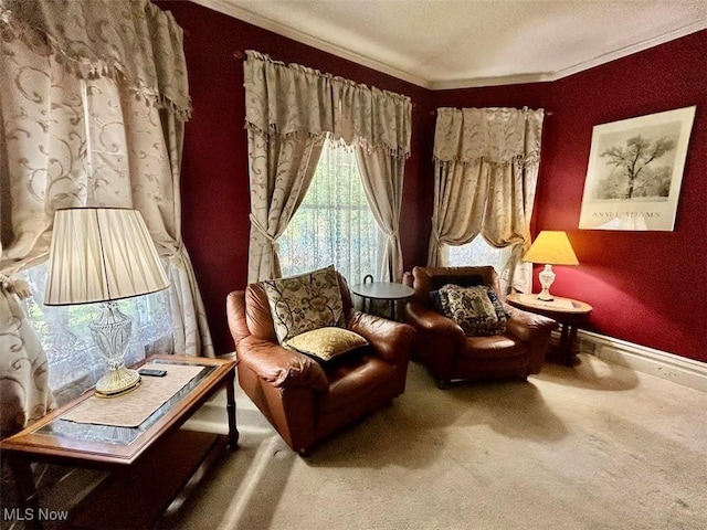 623 N 7th St, Marietta, OH 45750 - sitting room with carpet flooring, crown molding, and a textured ceiling