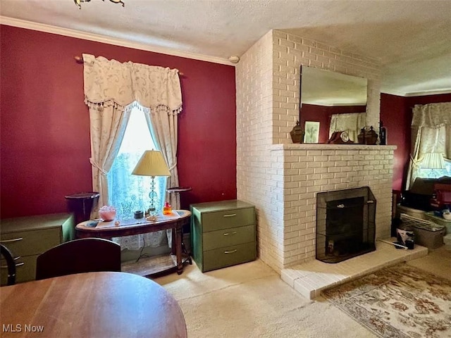 623 N 7th St, Marietta, OH 45750 - carpeted living area with a fireplace, a textured ceiling, and crown molding