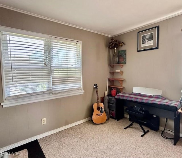 623 N 7th St, Marietta, OH 45750 - carpeted office space featuring healthy amount of natural light and ornamental molding