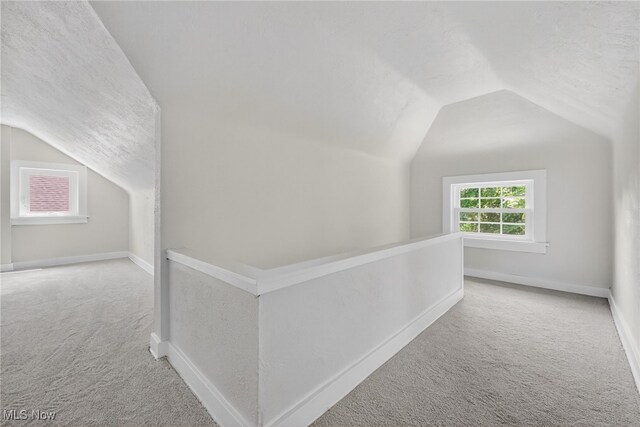 3294 Avalon Rd, Shaker Heights, OH 44120 - bonus room with carpet flooring and vaulted ceiling