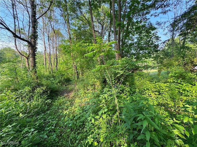 48828 Carmen Rd, Hopedale, OH 43976 - photo 14