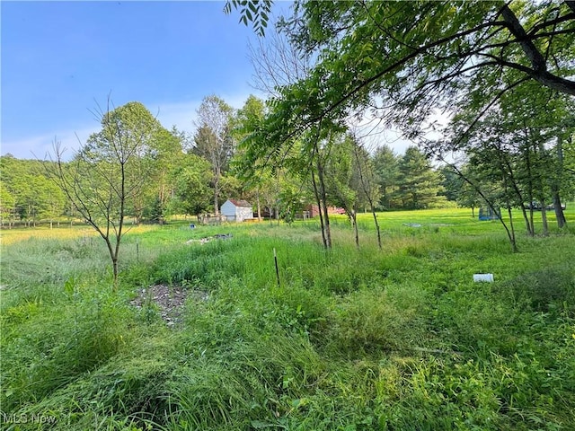 48828 Carmen Rd, Hopedale, OH 43976 - photo 15