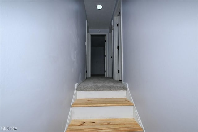 6633 Tamarind Dr, Bedford Heights, OH 44146 - stairs featuring baseboards