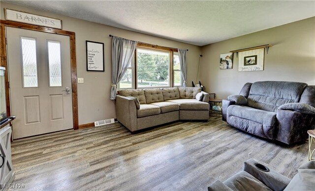 816 Vincent Dr, Loudonville, OH 44842 - living room featuring light wood-style flooring
