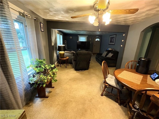 4442 La France St, Newton Falls, OH 44444 - photo 8