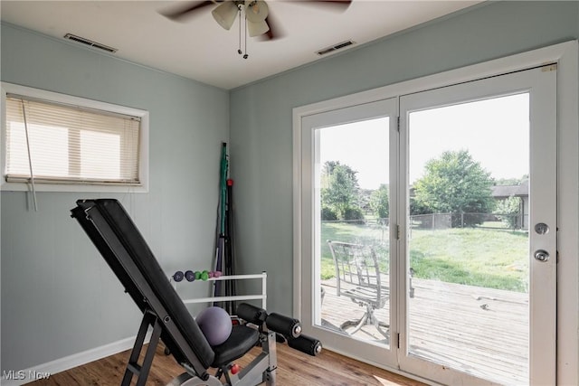 204 W 8 1/2 St, Williamstown, WV 26187 - exercise area featuring plenty of natural light, a ceiling fan, and light wood-type flooring