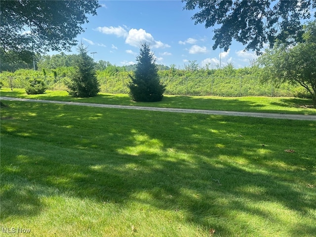 5-118 The Flds, Williamstown, WV 26187 - view of yard