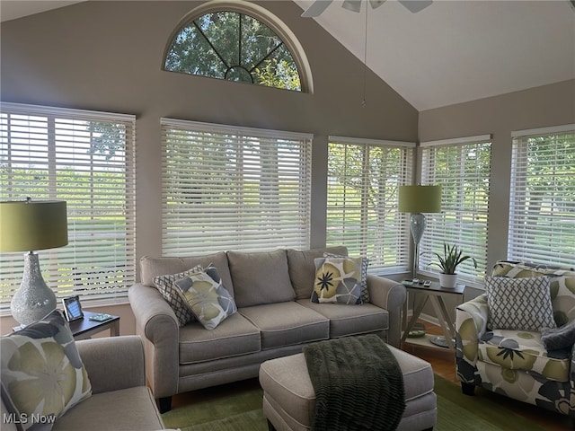 5-118 The Flds, Williamstown, WV 26187 - living room featuring high vaulted ceiling, a ceiling fan, and wood finished floors