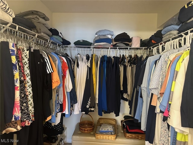 5-118 The Flds, Williamstown, WV 26187 - view of walk in closet