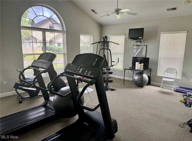 5-118 The Flds, Williamstown, WV 26187 - exercise room featuring vaulted ceiling, ceiling fan, and carpet flooring