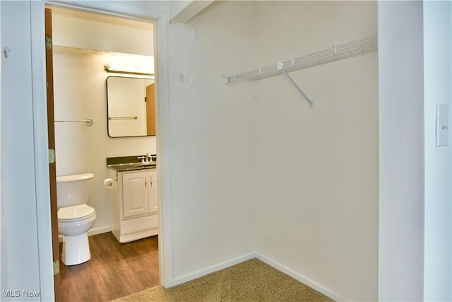 3406 Ivy Hill Cir Unit B, Cortland, OH 44410 - walk in closet featuring wood finished floors