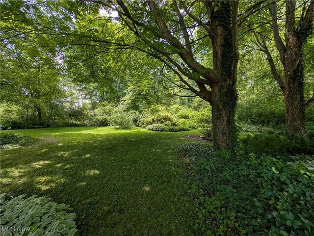 1574 Manchester St, Lake Milton, OH 44429 - photo 7