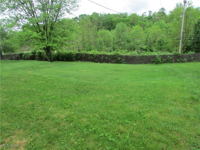 140 Rosslyn Blvd, Steubenville, OH 43952 - photo 14